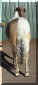 CHA Champagne Taste 051.jpg (32775 bytes)