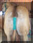 DustyDapples.jpg (83958 bytes)