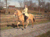 flash_action.gif (72307 bytes)