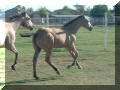 penny072007014.jpg
