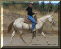 Skippin The Bars - October 2008