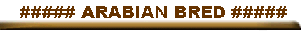 ##### ARABIAN BRED #####