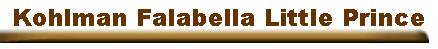 Kohlman Falabella Little Prince